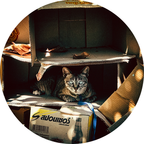 Unirse como voluntario